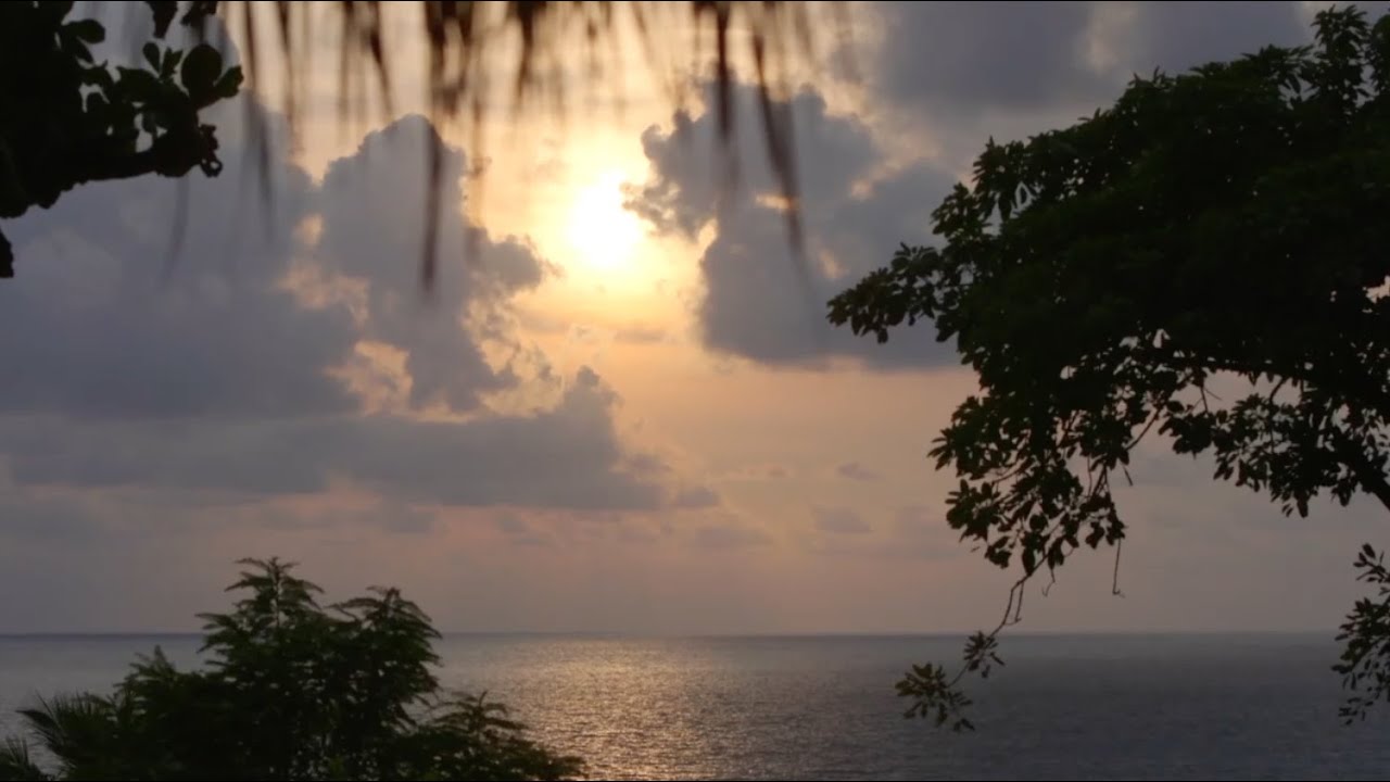The Sumba Foundation