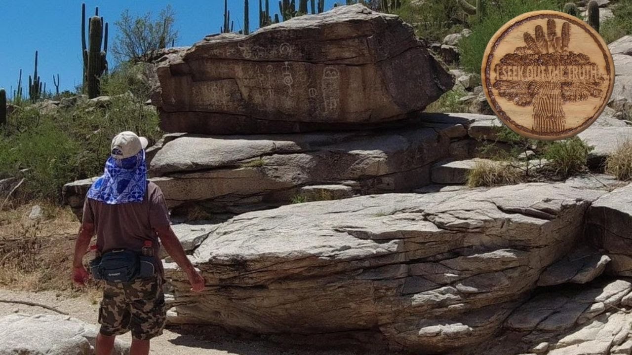 I Found The BIGGEST Crested Saguaro In The Desert !!!
