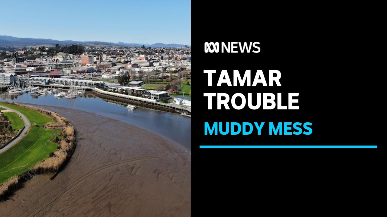 Tasmania's Tamar River can look like a 'muddy mess'. Locals say it's time for a fix | ABC NEWS