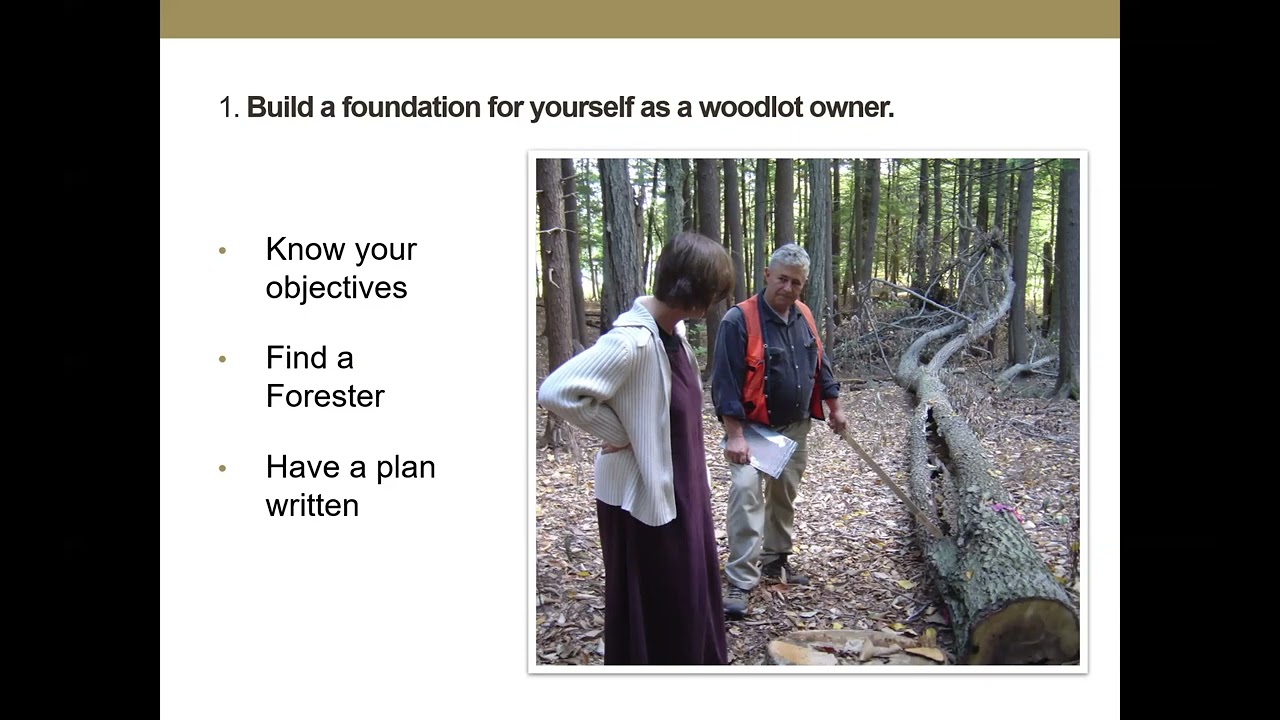 Best Practices on a Small Wooded Acreage