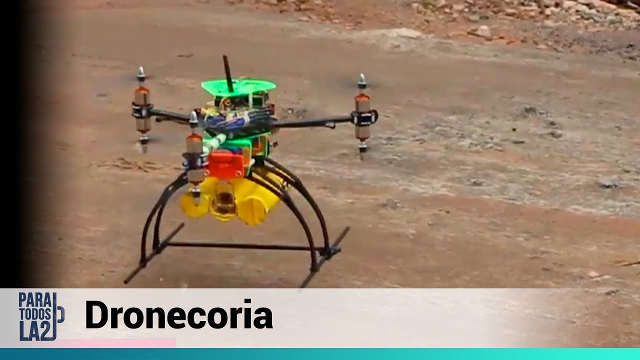 Drones para reforestar bosques | Para Todos La 2