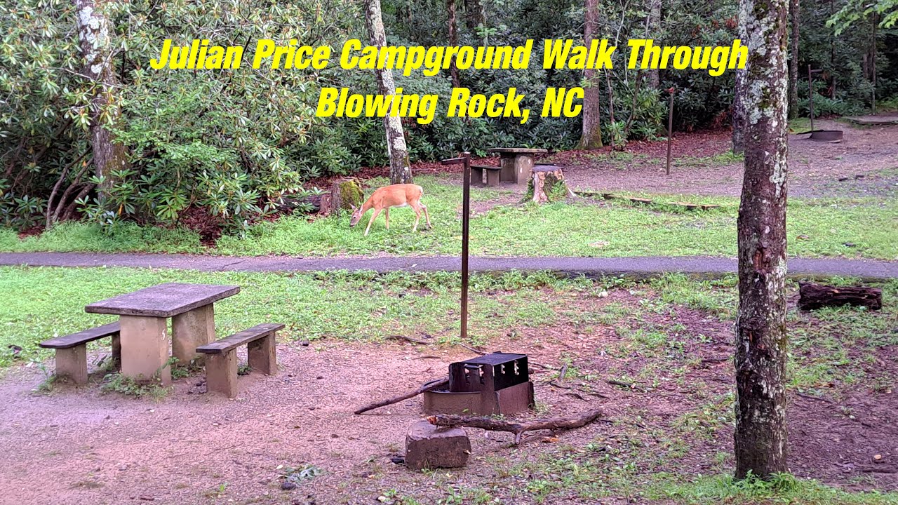 Julian Price Campground Walk-Thru (Tent Sites) MOTHER DEER AND FAWNS!!