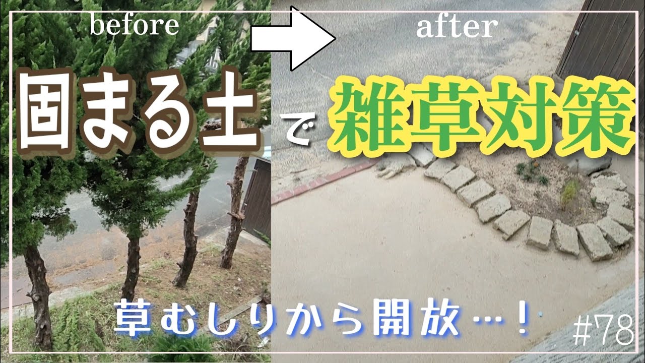 【庭DIY】#78 雑草対策！空き地に固まる土を。簡単に雑草防止｜抜根その後｜マサファルト