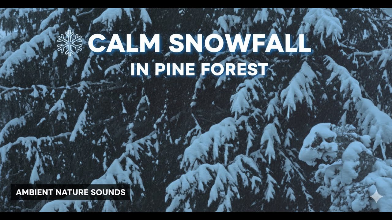 Calm Snowfall in Pine Forest || ❄️ || 30 Min Ambient