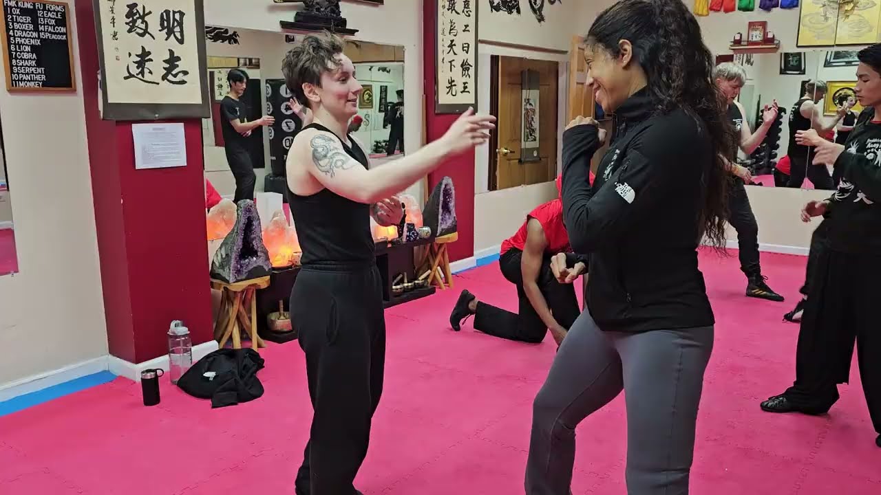 Kung Fu Counter Strikes - 2025 Phoenix Drills