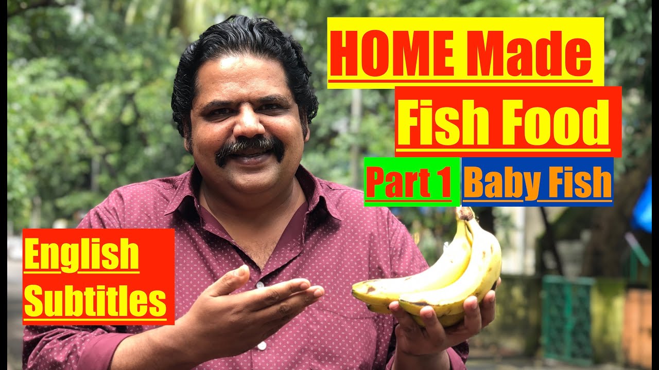 How to Make Homemade Fish Food | How to make Baby Aquarium Fish Fry Food | Easy fry (baby fish) Food