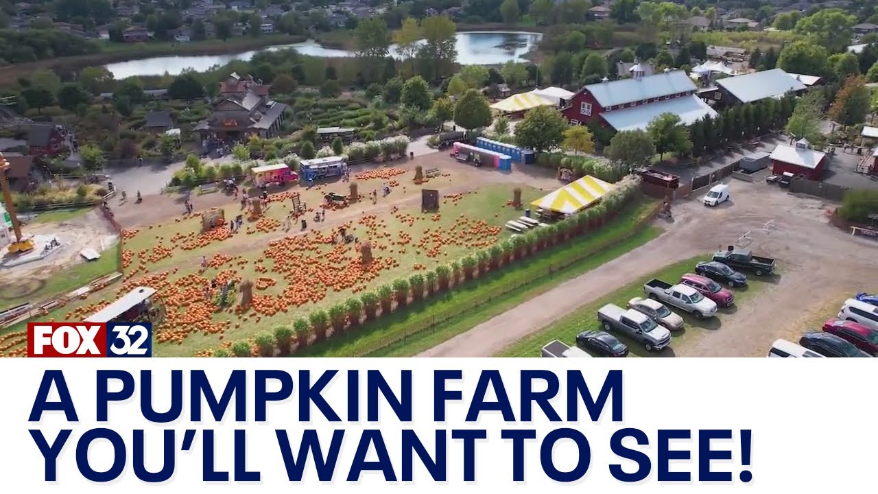 Come along to explore Bengtson's Pumpkin Farm in Homer Glen