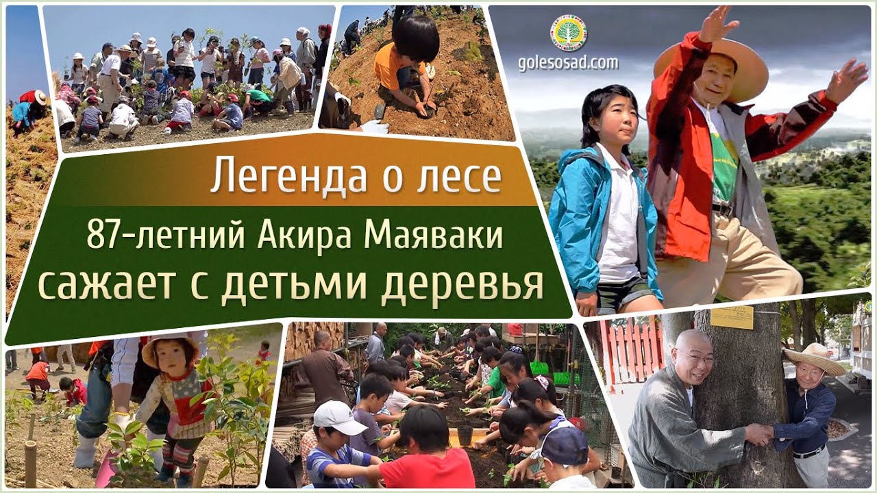 Легенда леса. 87 летний Акира Мияваки сажает с детьми деревья!