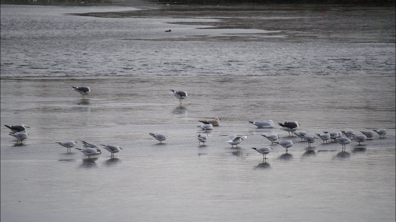 Walking Around King’s Mill Reservoir