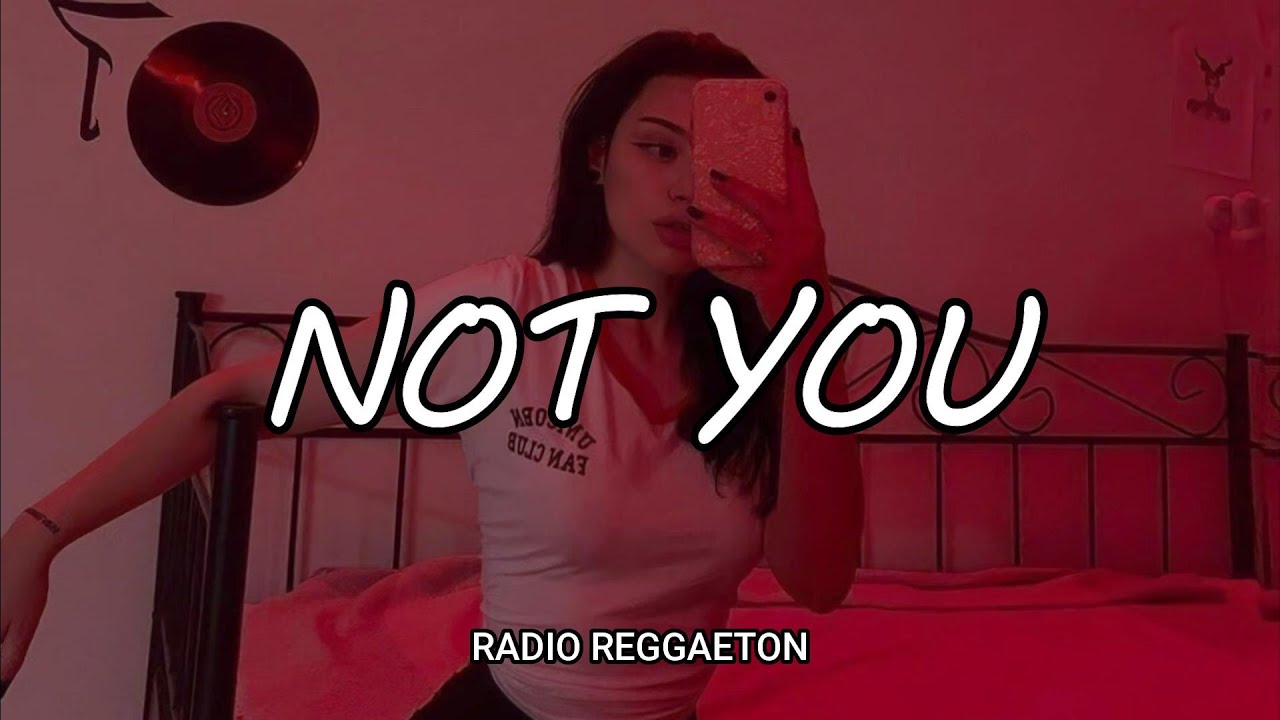 Alan Walker, Emma Steinbakken - Not You //Sub Espa&ntilde;ol