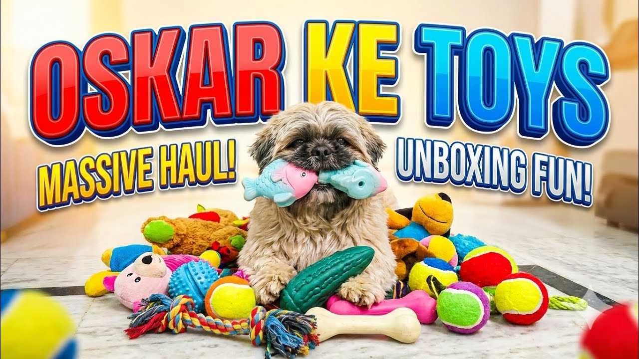 Oscar ke toys