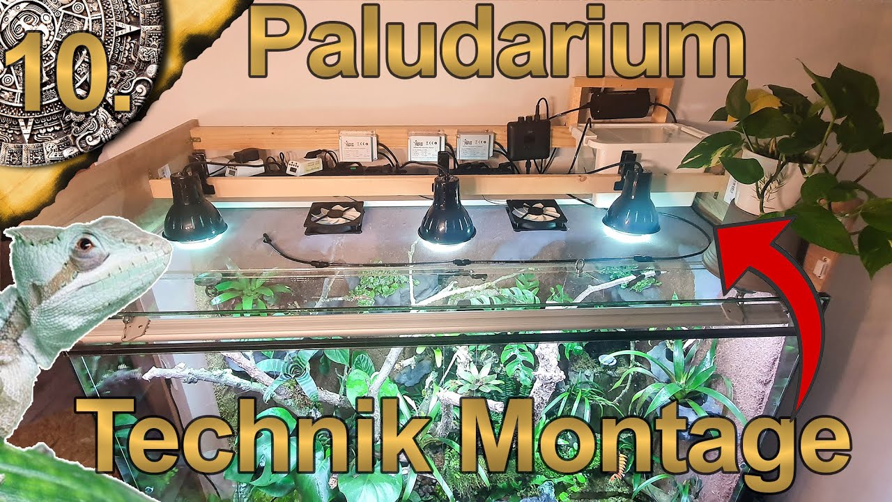 Technik Montage Paludarium | Solar Raptor RGB LED + HID | SetUp | Terrarium für Kronenbasilisk | 10.