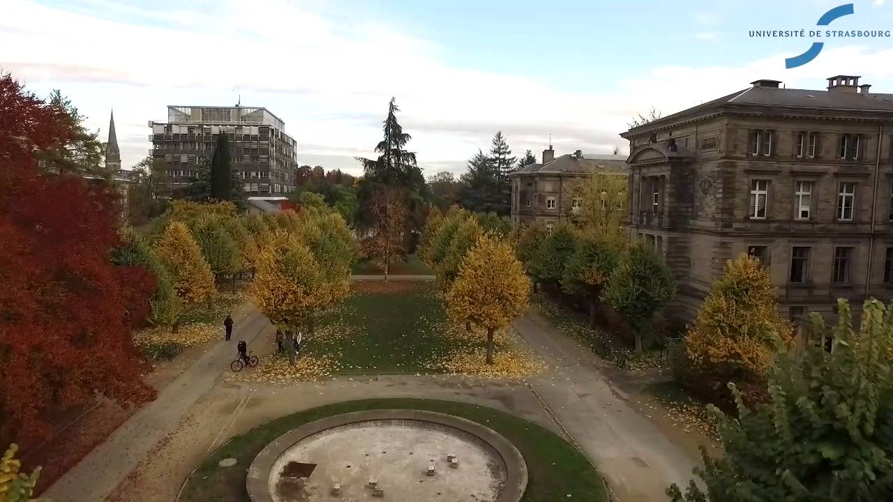 L'Unistra vue du ciel