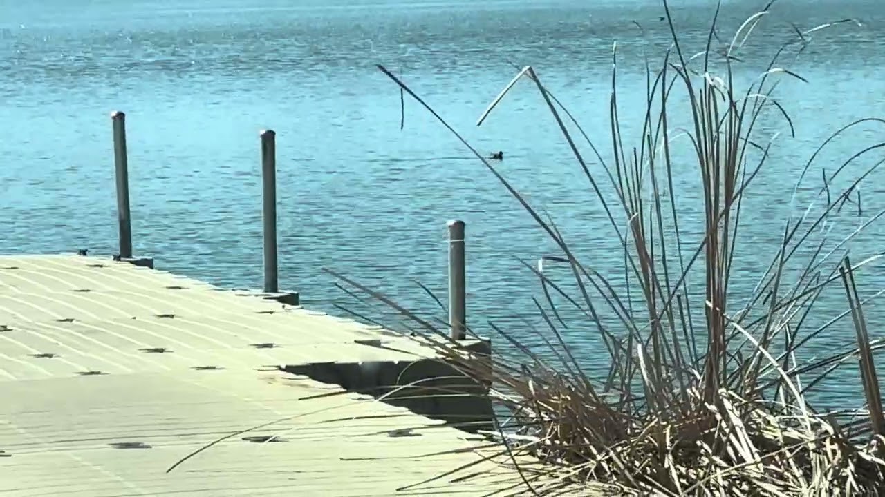 #Ms Kathy’s Stories # Sunny Cold 🥶 Florida Day 
