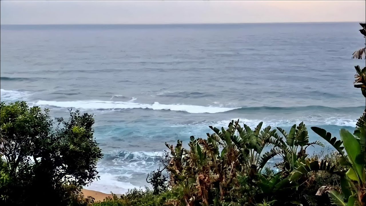 Relaxing sea & Beach sounds  & To sleep, study and meditation.