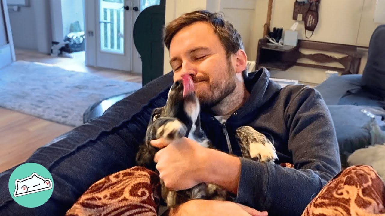 Lonely Dog Falls In Love With Man At First Sight | Cuddle Buddies
