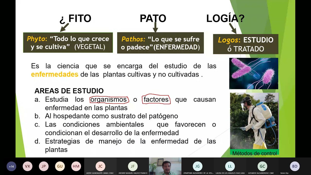 Introducción al curso de fitopatología