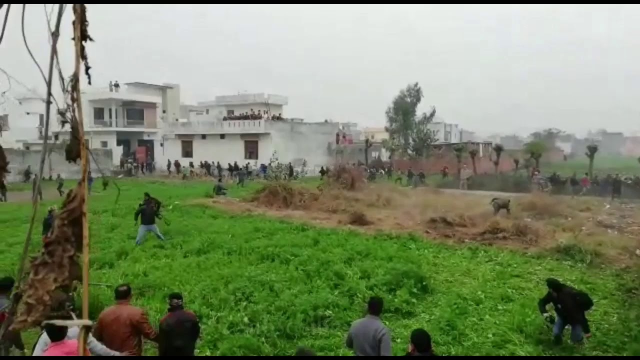 Leopard in Jalandhar ( Full Video )