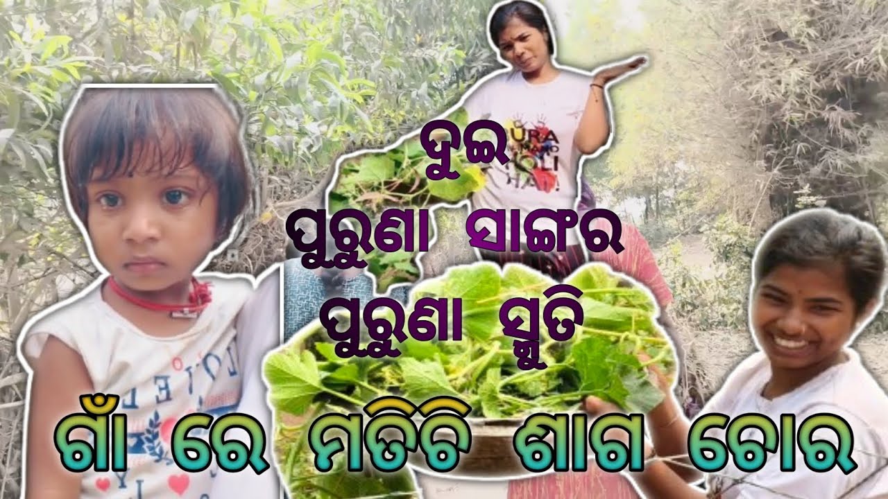 ଗାଁ ରେ ମାତିଚି ଶାଗ ଚୋର।ଦୁଇ ପୁରୁଣା ସାଙ୍ଗର ପୁରୁଣା ସ୍ମୁତି।#villagelife#friendsmeetup#oldmemorie#vlogging