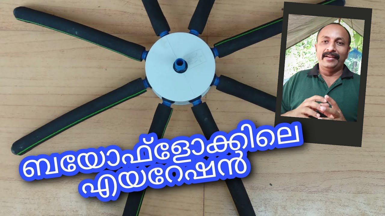 #Spider #Airoxi #Hailea #Biofloc #Fish_Farming #മത്സ്യകൃഷി #മീൻകൃഷി Biofloc Malayalam Fish Farming