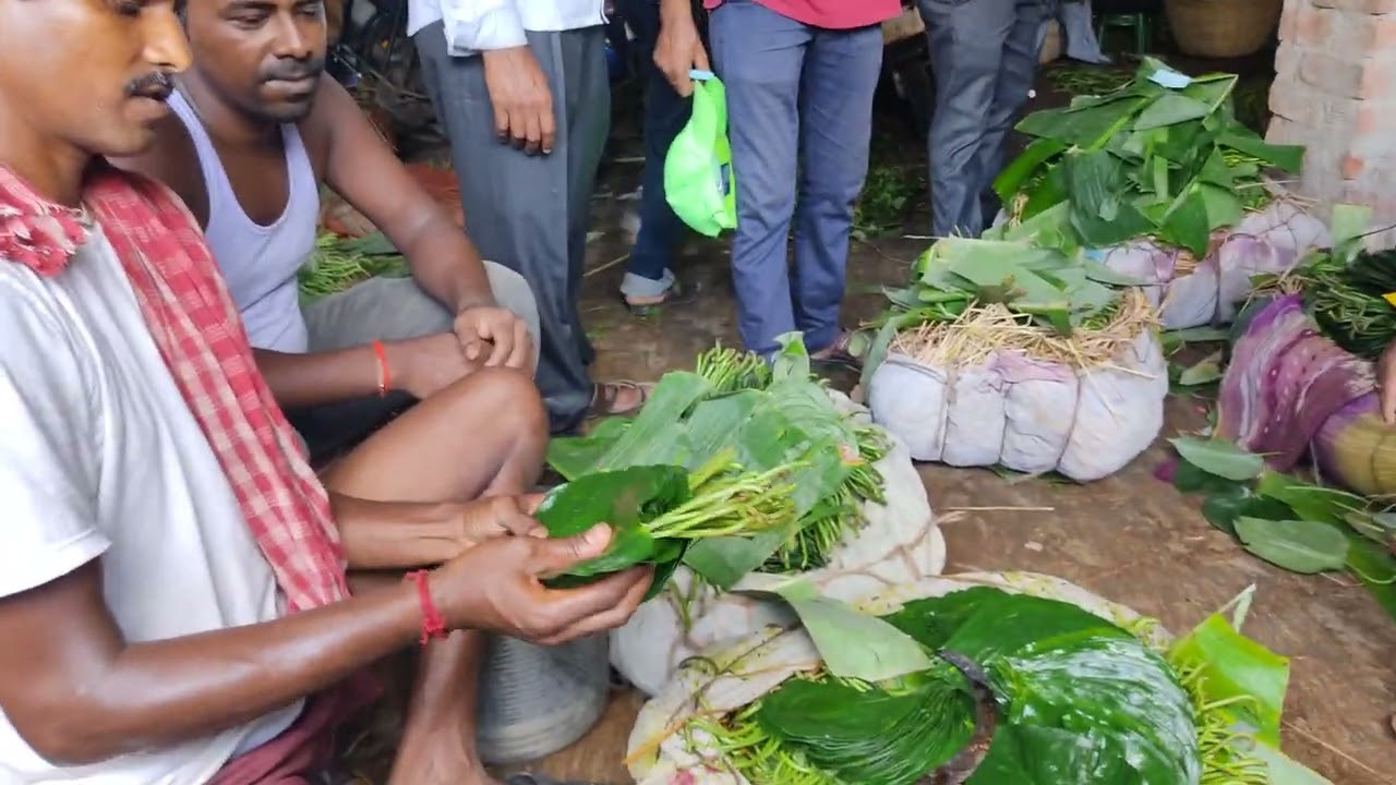 KOLKATA MITHA PAAN | KAKDWIP MITHA PAAN WHOLESALE MARKET | PAAN EXPORT ALL INDIA |📞8159871771