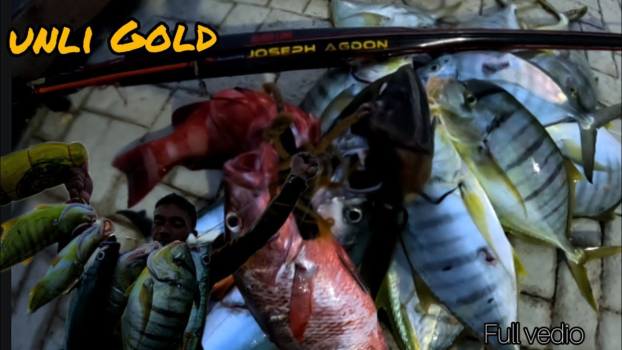 Spearfishing || UNLIMITED PILAGIC🤑 @Lefthandedbully-to4hg 