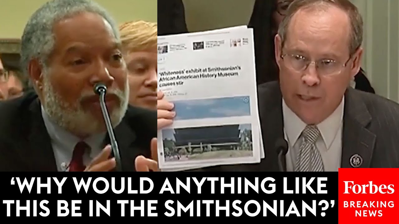 Greg Murphy Confronts Head Of Smithsonian About 'Whiteness' Exhibit