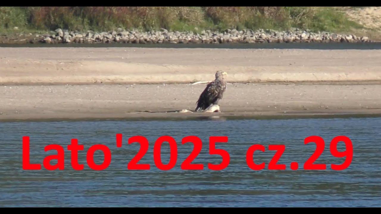 Lato'2025 cz. 29... jesień idzie.