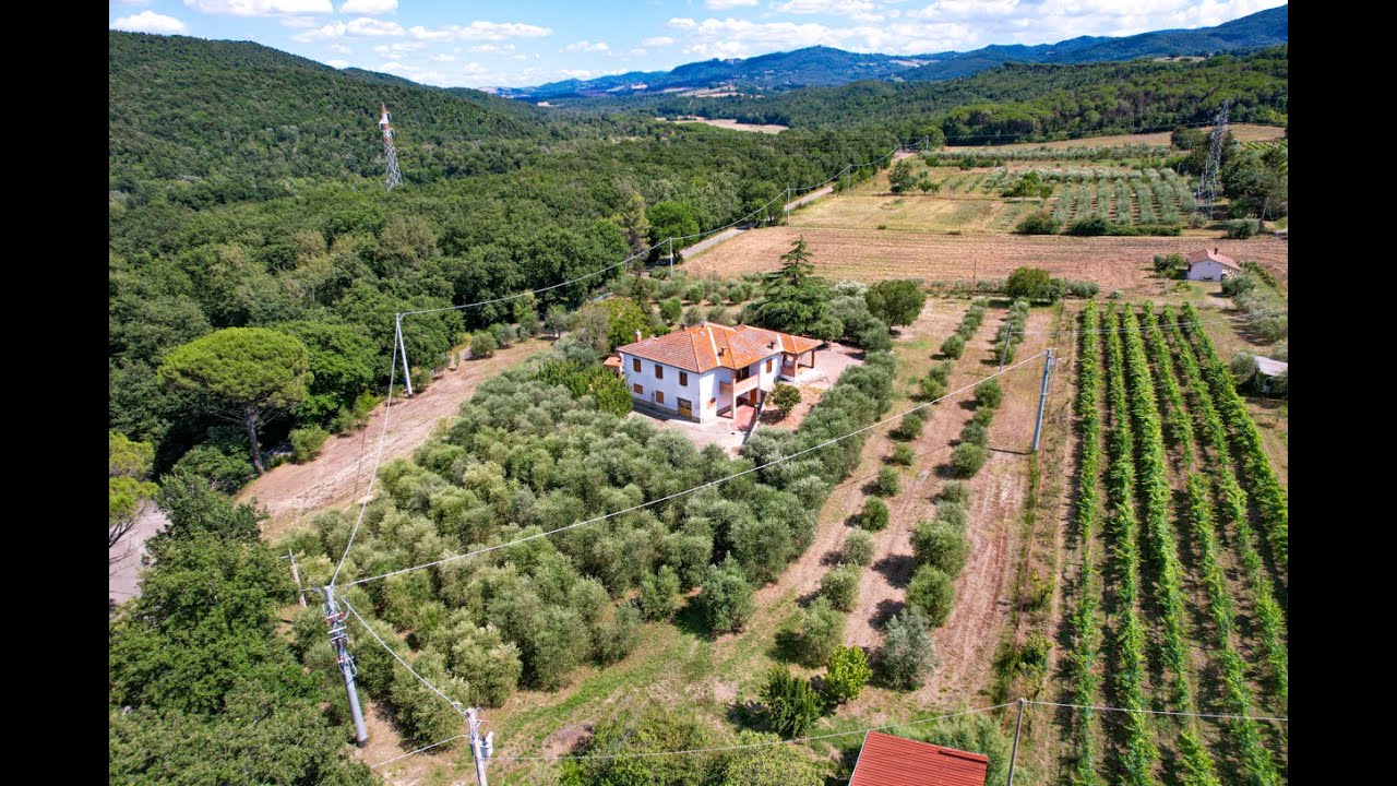 Ref.CS443 -Villa with extensive land and olive grove near Querceto