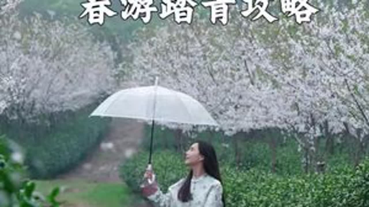 安吉春游踏青攻略来了！住新开酒店，送嘉乐比乐园+汤泉门票 骑行徒步赏花，游千年古刹，周末逃离城市来过2天春和景明的神仙日子！#安吉开元嘉乐园度假酒店 #安吉旅游攻略 #节后上班不在状态怎么办 #...