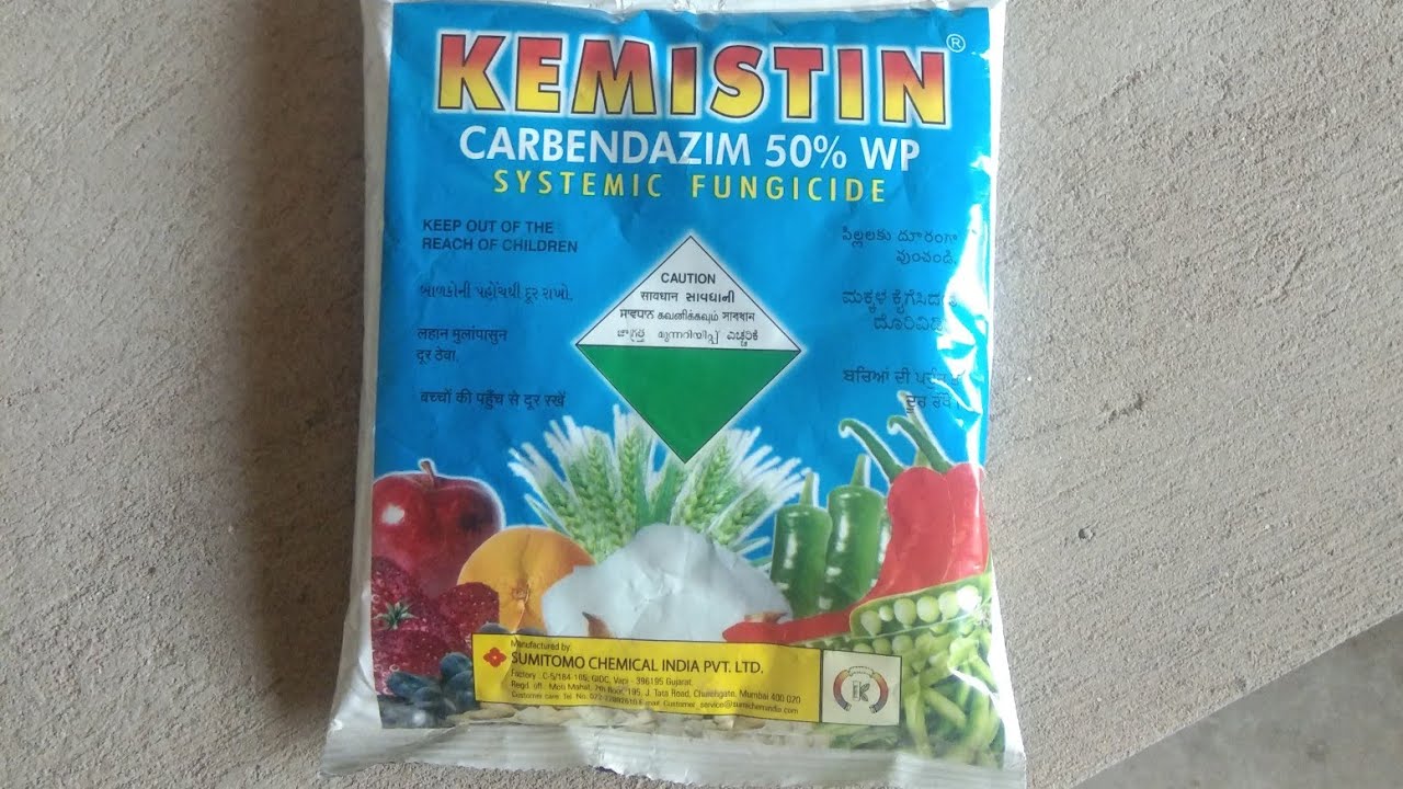 KEMISTIN Carbendazim 50% WP Systemic Fungicide