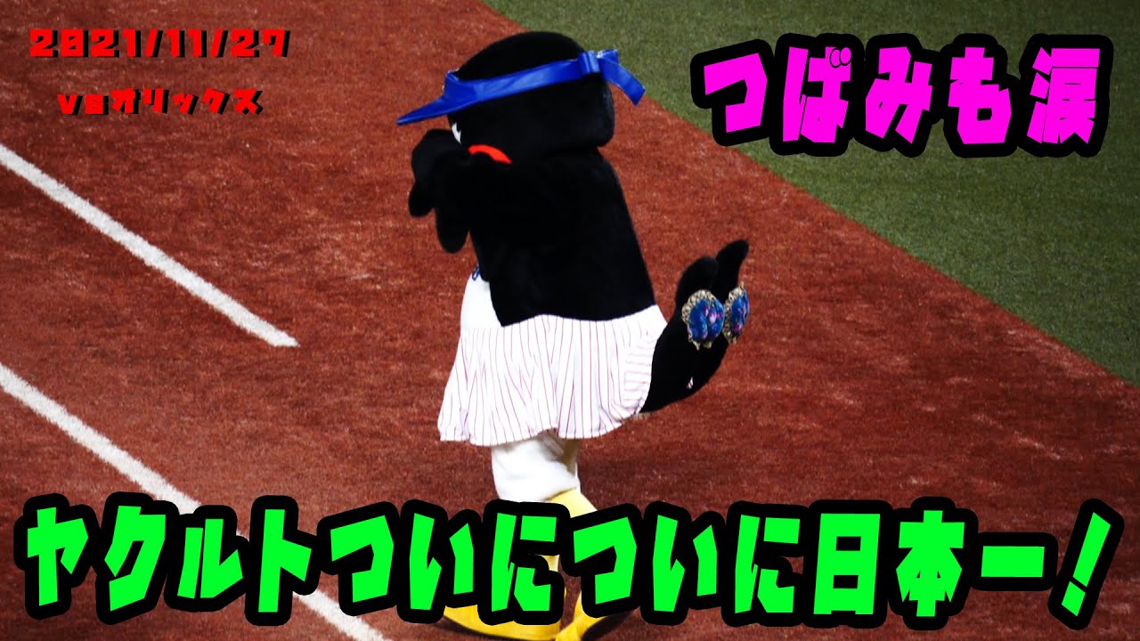 ヤクルトがついについに日本一！！！　つばみも涙涙！！！　2021/11/27  vsオリックス・バファローズ