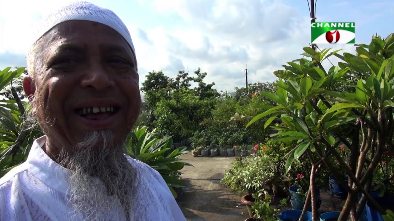 নারায়ণগঞ্জে মো. হারুন উর রশিদের ছাদকৃষি | পর্ব ৬৮ | Rooftop Farming | Shykh Seraj | Channel i |