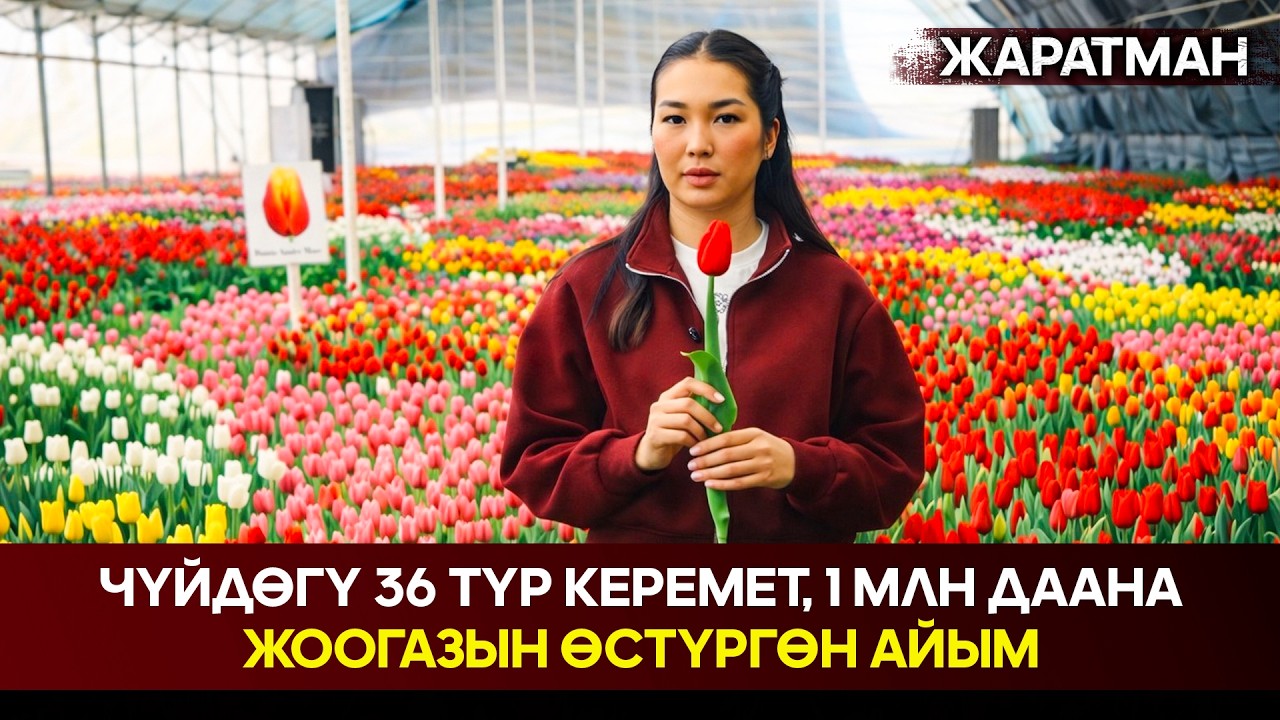 Чүйдөгү 36 түр керемет, 1 млн даана жоогазын өстүргөн айым