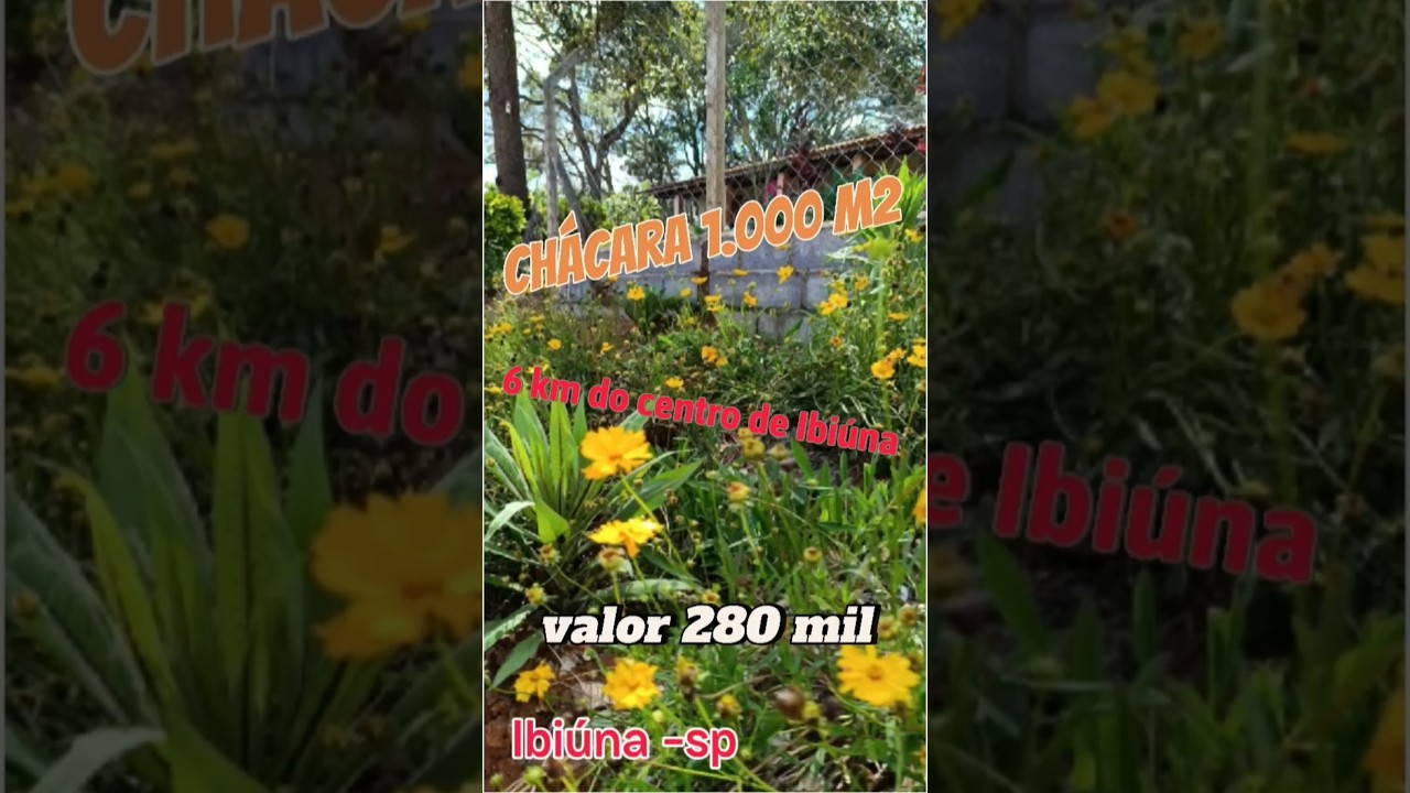 ch&aacute;cara 1.000 metros quadrados , 6 km do centro Ibi&uacute;na sp, pomar produzindo, ro&ccedil;a, Casa 1 dormit&oacute;rio