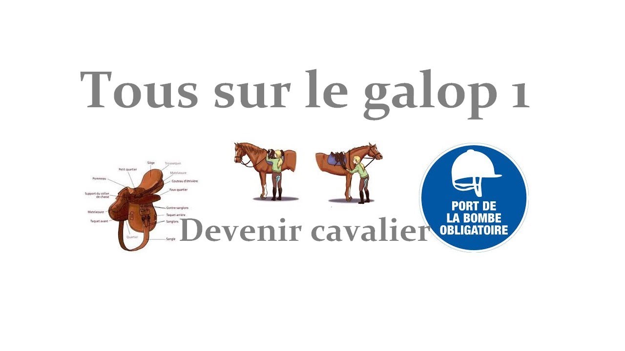 [Tout sur le galop 1] Devenir cavalier !