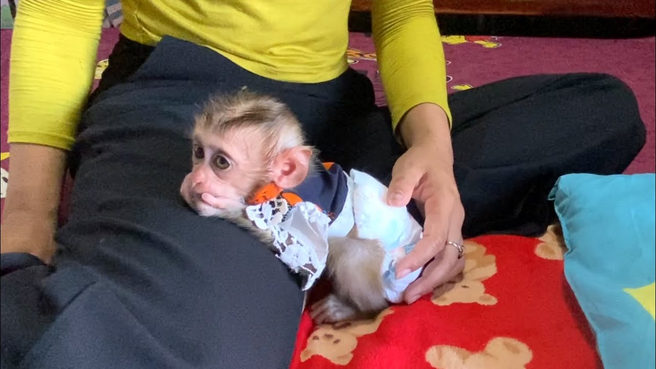 Wow!! Little Prince LIORA doesn't want to sleep on the pillow, she wants to cuddle on mommy's lap