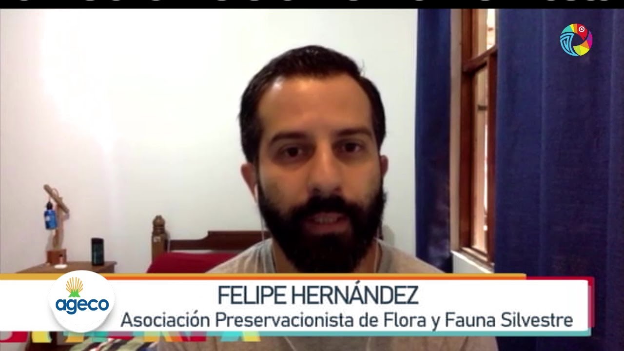 Buena Vida - Mucho se oye hablar del cambio climático, pero ¿qué es y a qué se debe?