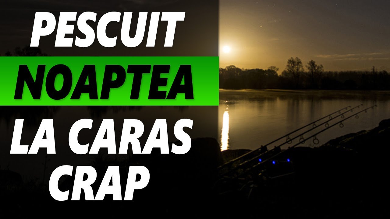 𝗣𝗲𝘀𝗰𝘂𝗶𝘁 NOAPTEA 𝗽𝗲 𝗗𝗨𝗡𝗔𝗥𝗘 𝗹𝗮 𝗖𝗥𝗔𝗣 𝘀𝗶 𝗖𝗔𝗥𝗔𝗦 - NIGHT FISHING FOR CARP AND CRUCIAN ON THE DANUBE