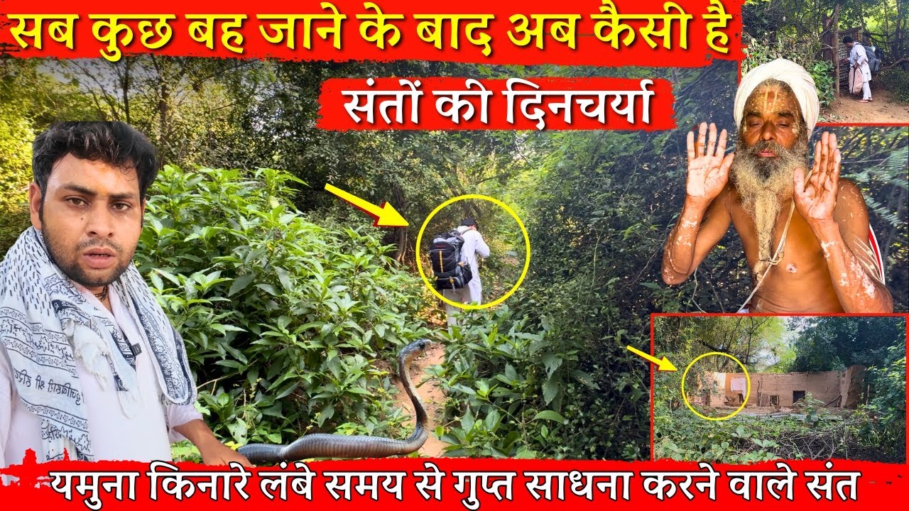 यमुना किनारे गुप्त साधना करने वाले संत..ज़मीन से 20 फुट ऊपर संतों का नामजाप @BrajVihar #vrindavan