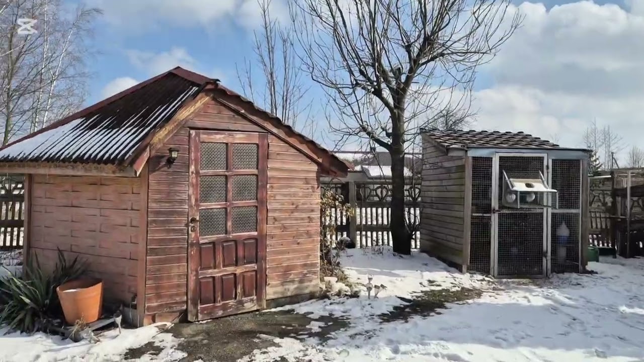 Zima w pełni. 
