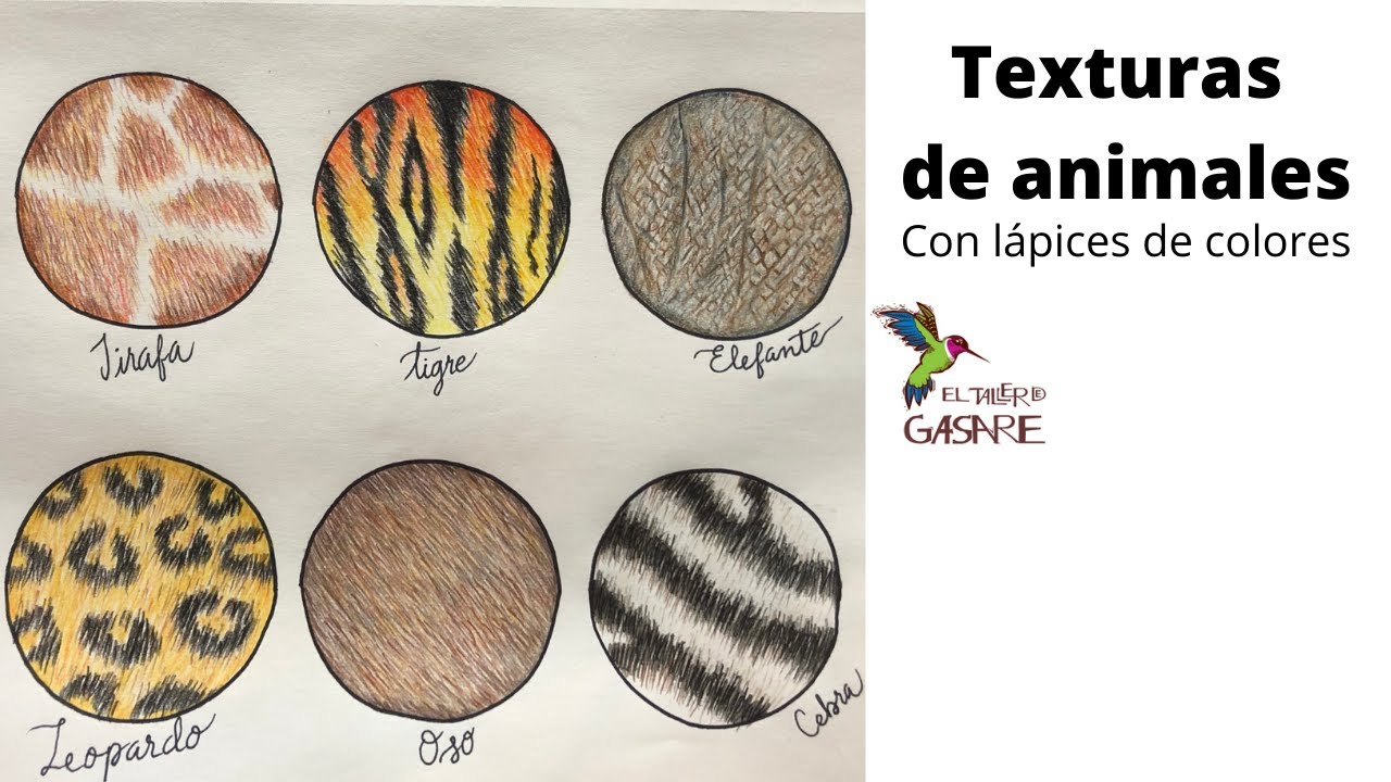 Como dibujar texturas de animales con lápices de colores