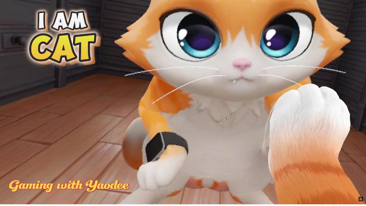 If I were a cat... - I Am Cat (Cat ASMR and Granny mumbles)
