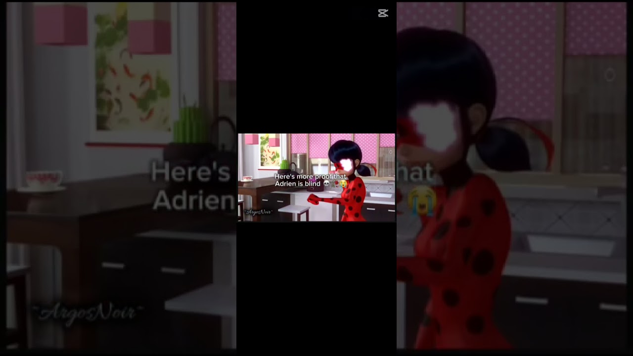 ADRIEN 💀🥀🥀🥀😭 #ladybugandcatnoirsong #miraculousladybug #marinetteyadrien #ladybug #saludamemarinette