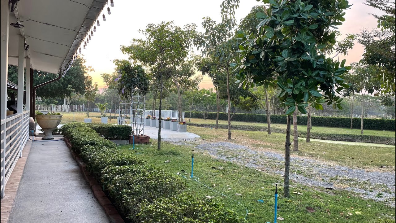 พาเพื่อนๆมาดูการเจริญเติบโตของต้นไม้รอบบ้านและภายในตัวบ้าน ตามคำขอของFC