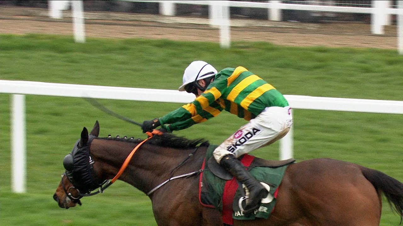Cheltenham hero SIRE DU BERLAIS strikes for third Festival victory - Racing TV