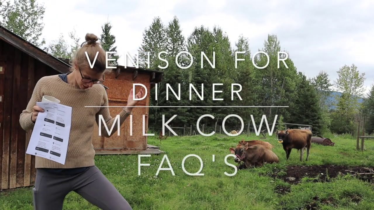 How Much Land Do I Need? And other FAQ's about Milk Cows...