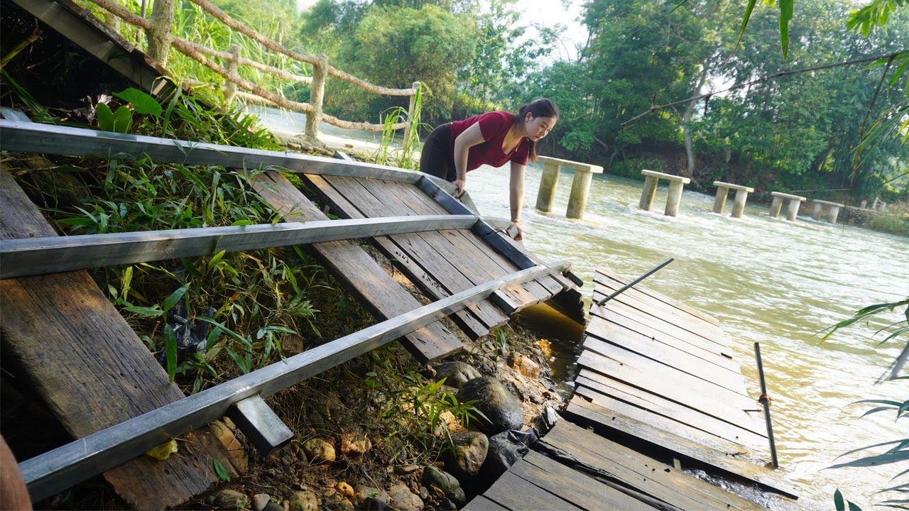 Renovating the iron bridge after the flood - Restore bamboo bridge after 2 years - Dung Bushcraft
