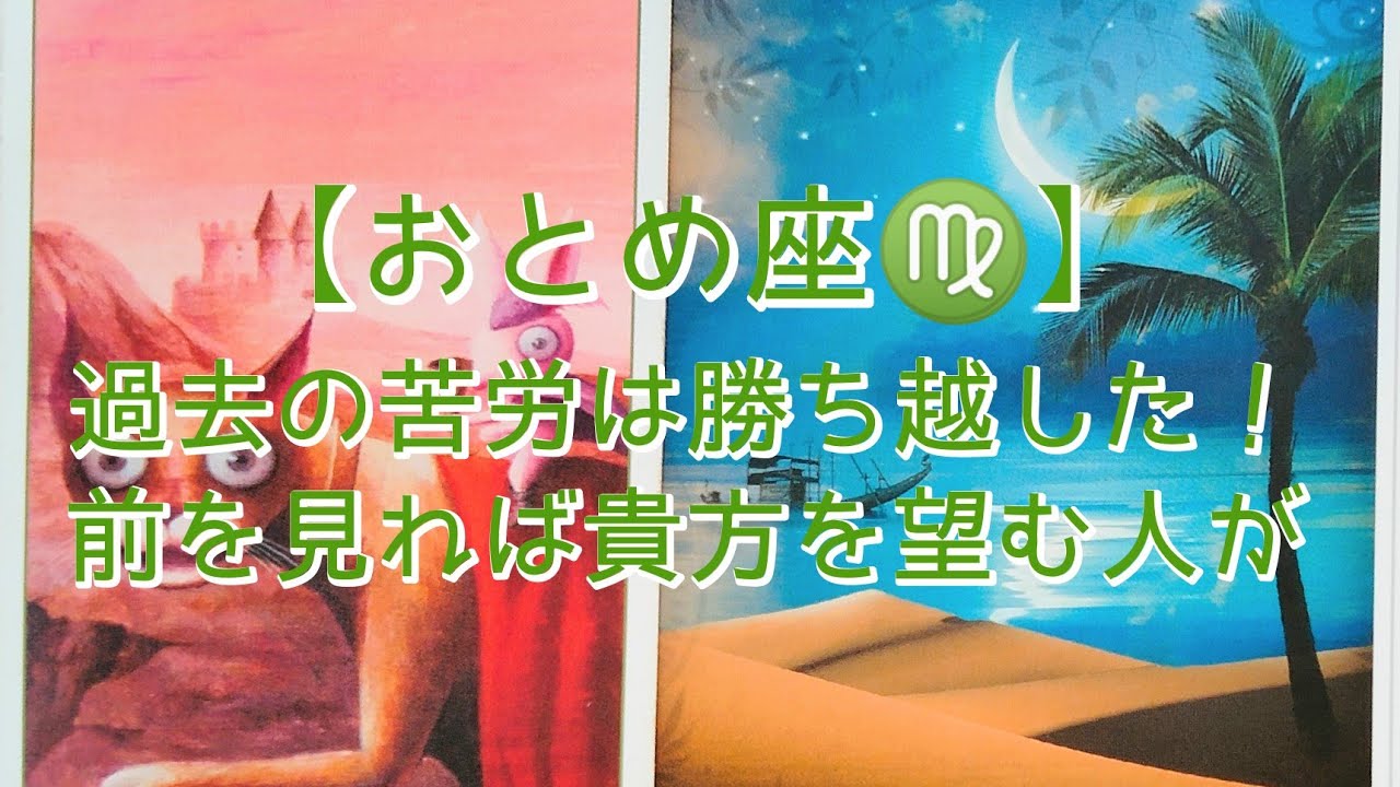 【おとめ座♍】〜おとめ座さん♍の100日〜