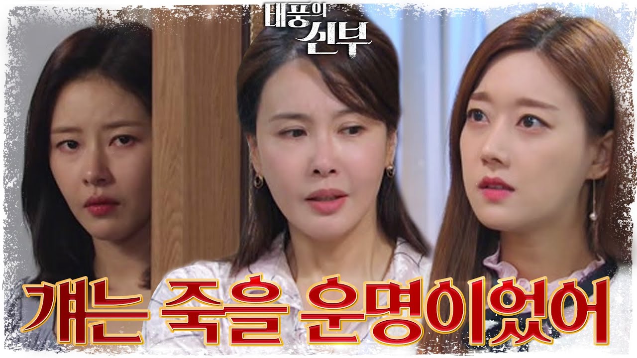 &ldquo;넌 아무것도 몰라&rdquo; 오승아&최수린의 대화를 엿듣게 된 박하나! [태풍의 신부] | KBS 221031 방송